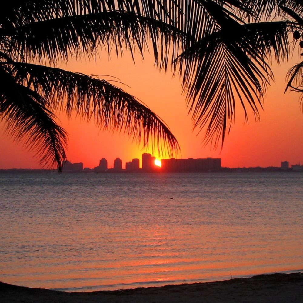 Meet your Posher, Norma